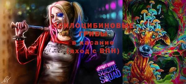 a pvp Арсеньев