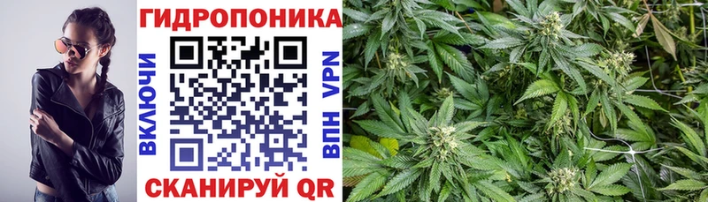 сайты даркнета какой сайт  Правдинск  Каннабис семена 
